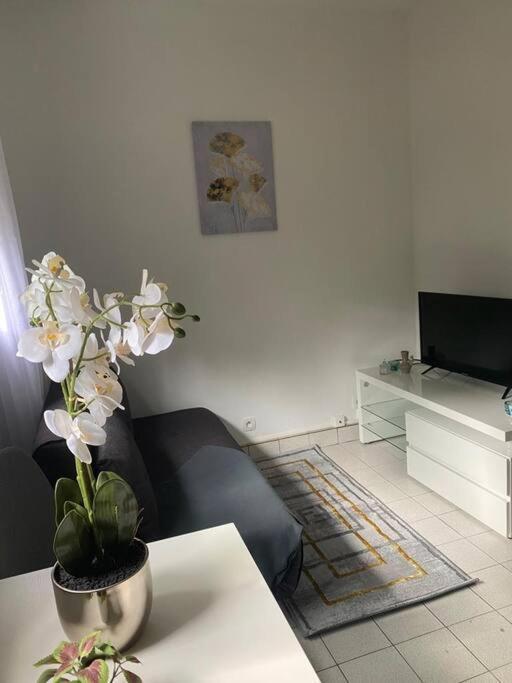 Appartement Cosy 15 Min D'Orly Longjumeau Exterior foto